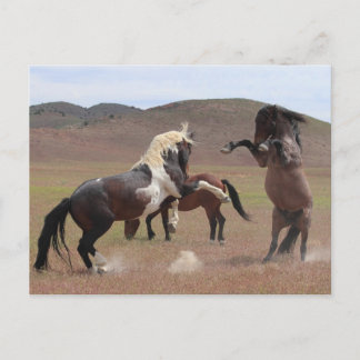 来買う ポストカード