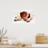 来遊一緒に ポスター (キッチン)