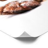 来遊一緒に ポスター (角)