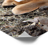 来遊掘 ポスター (角)