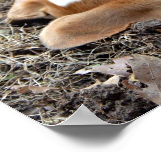 来遊掘 ポスター (角)