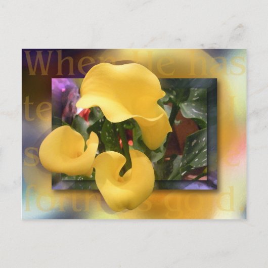 来金ゴールド ポストカード (正面)