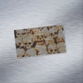 杭Oスカル（高齢） マグネット名刺 (インサイチュ)