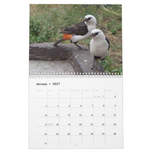 東および南アフリカ共和国のエキゾチックな鳥 カレンダー (1月 2027)