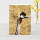 東にアフリカ人によって戴冠させるクレーンカード カード (黄色い花)