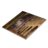 東に見るネーブの眺め(写真) タイル (側面)