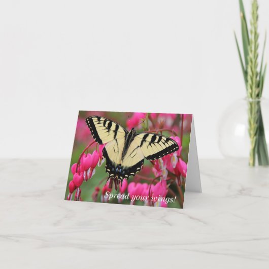 東のアゲハチョウ シーズンカード (正面)