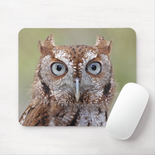 東のアメリカオオコノハズクの写真 マウスパッド (マウス)