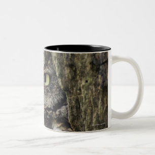 東のアメリカオオコノハズク(灰色段階)のOtusのASIO ツートーンマグカップ
