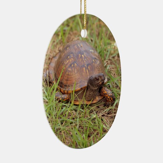 東のアメリカハコガメ(ノースカロライナおよびテネシー州) セラミックオーナメント (右)