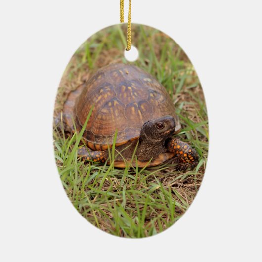 東のアメリカハコガメ(ノースカロライナおよびテネシー州) セラミックオーナメント (裏面)