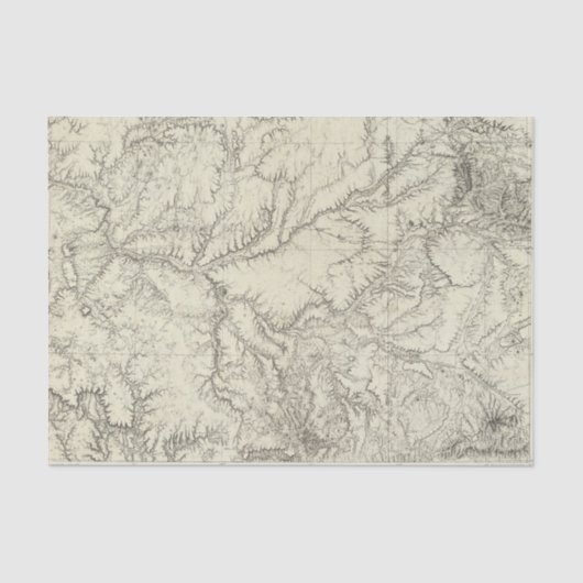 東のアリゾナおよび西部のニューメキシコ2 薄葉紙 (正面)