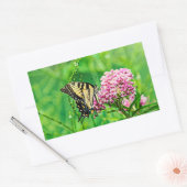 東のトラのアゲハチョウの蝶 長方形シール (封筒)