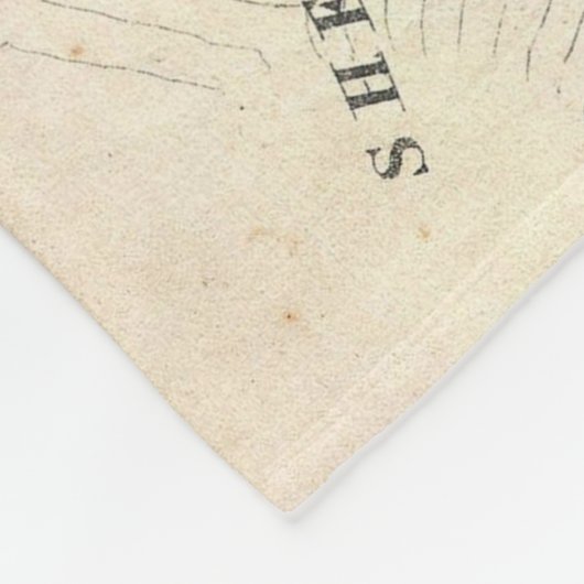 東のハンプトンニューヨーク(1873年)のヴィンテージの地図 フリースブランケット (角)