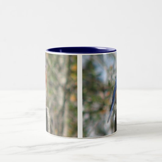 東のブルーバードの男性のマグ ツートーンマグカップ (中央)