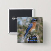 東のブルーバードの男性ボタン 缶バッジ (正面&裏面)