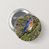 東のブルーバードボタン 缶バッジ (正面&裏面)