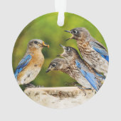 東のブルーバード オーナメント (裏面)