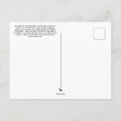 東のボックスタートルポストカード ポストカード (裏面)