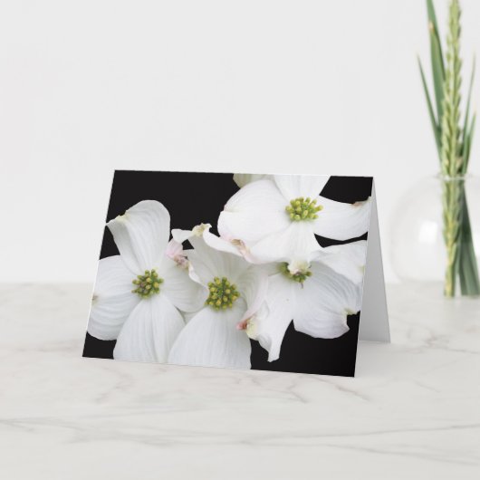 東のミズキの花- Cornusフロリダ シーズンカード (正面)