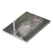 東の悲鳴 – フクロウ、メガスコップスアシオ、オトゥス2 ノートパッド (回転)