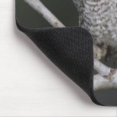 東の悲鳴 – フクロウ、メガスコップスアシオ、オトゥス2 マウスパッド (コーナー)