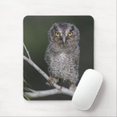 東の悲鳴 – フクロウ、メガスコップスアシオ、オトゥス2 マウスパッド (マウス)