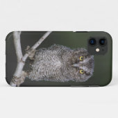 東の悲鳴 – フクロウ、メガスコップスアシオ、オトゥス2 Case-Mate iPhoneケース (裏面(横))