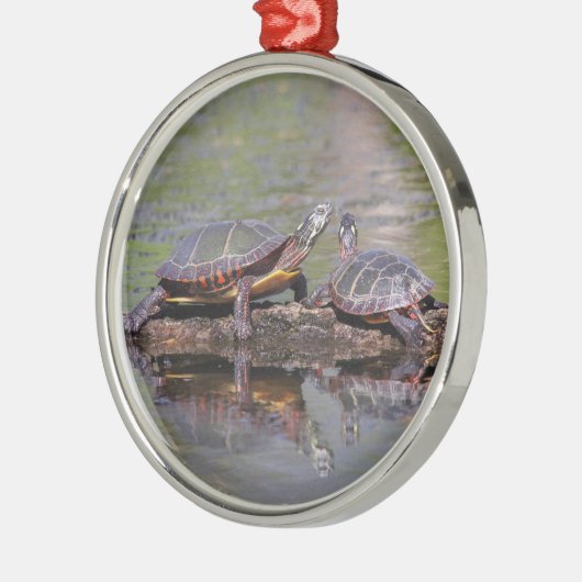 東の色彩の鮮やかなカメ メタルオーナメント (左)