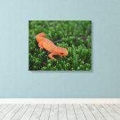 東の赤斑のニワトリ キャンバスプリント (インサイチュ (ウッドフロア))