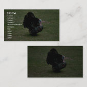 東の野生のトルコ 名刺 (正面/裏面)