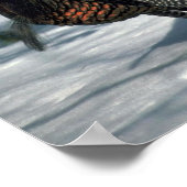 東の野生の七面鳥、雪の中で大きなゴブラ ポスター (角)