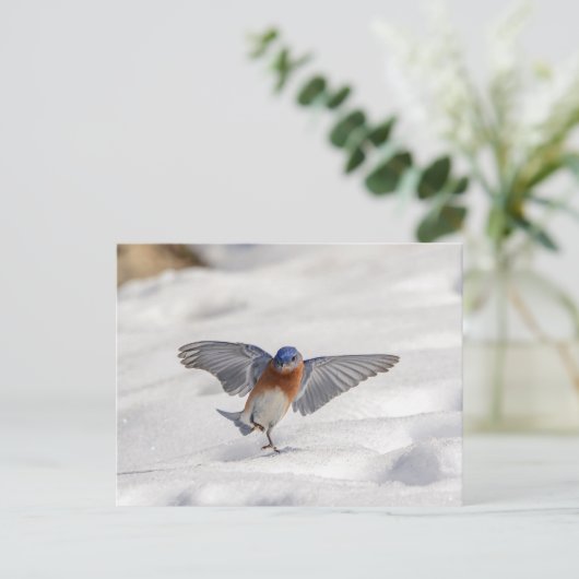 東の青い鳥が雪の中でダンスをしている ポストカード (スタンド正面)