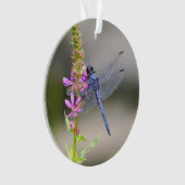 東のPondhawk オーナメント (正面)