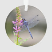 東のPondhawk オーナメント (裏面)