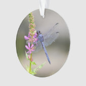 東のPondhawk オーナメント (正面)