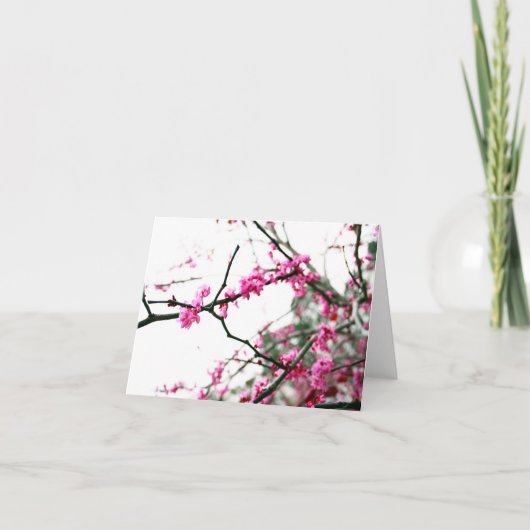 東のRedbud カード (正面)