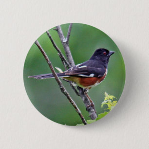 東のTowheeボタン 缶バッジ