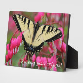 東アゲハチョウ フォトプラーク (側面)