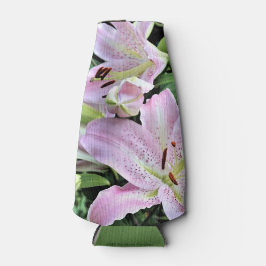 東アジア球根ユリ ボトルクーラー (正面)