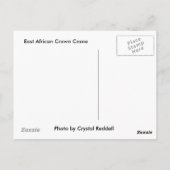 東アフリカの冠を持つクジャクのポストカード ポストカード (裏面)