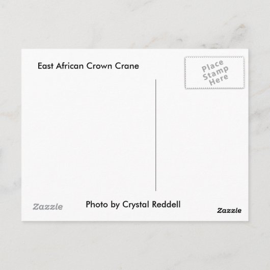 東アフリカの冠を持つクジャクのポストカード ポストカード (裏面)