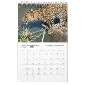 東アフリカの動物(ペ独身のージ)カレンダー カレンダー (1月 2026)