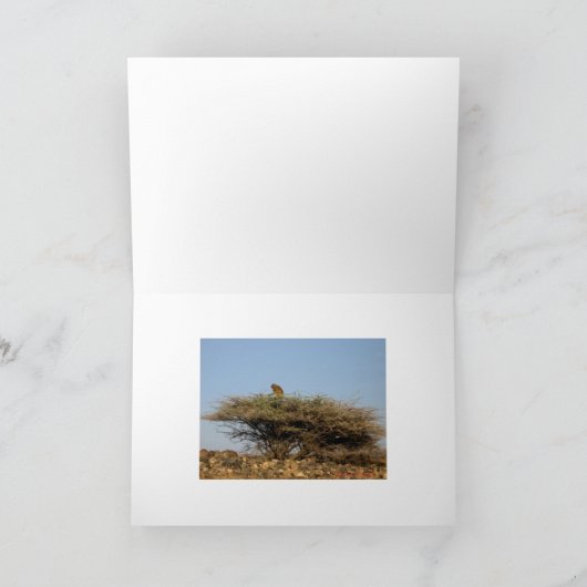 東アフリカの小屋 カード (内部)