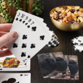 東アフリカ、タンザニア トランプ (インサイチュ)