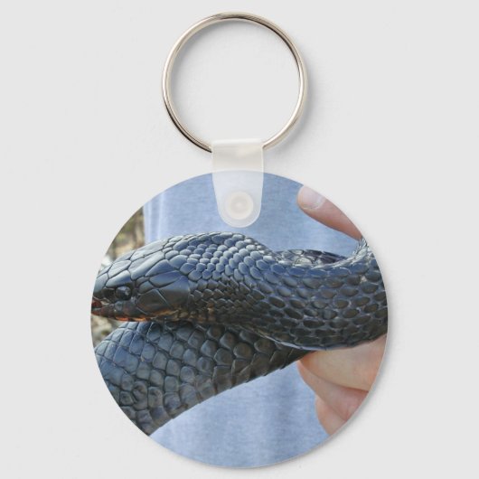 東インディゴヘビ（ドライマルション・コーレ・クーペリ） キーホルダー (正面)
