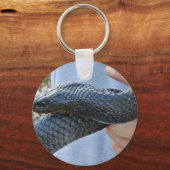 東インディゴヘビ（ドライマルション・コーレ・クーペリ） キーホルダー (正面)