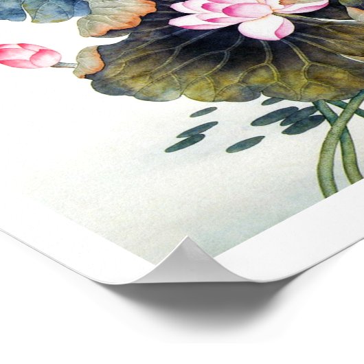 東クール中国の方美人の蓮の葉 ポスター (角)