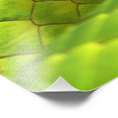 東グリーンマンバデンドロアスピアングスティプス フォトプリント            (角)