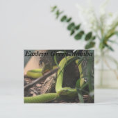 東グリーンマンバ ポストカード (スタンド正面)